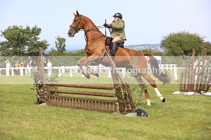 JPP_3745 - Class 23: Working Hunter 80cm