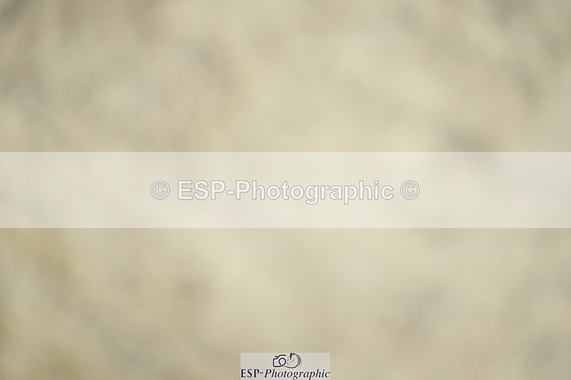 230909-121458-05603 - Cls 17 Snr 1.05m Open