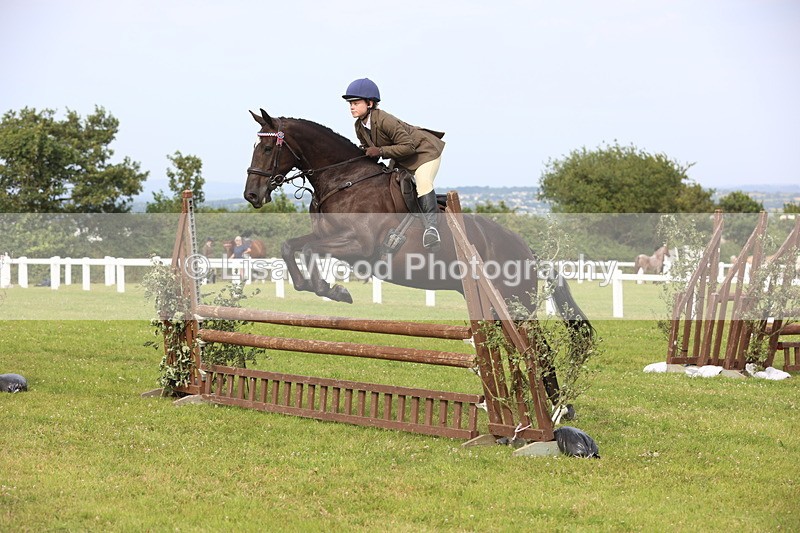 JPP_4213 - Class 25: Working Show Horse