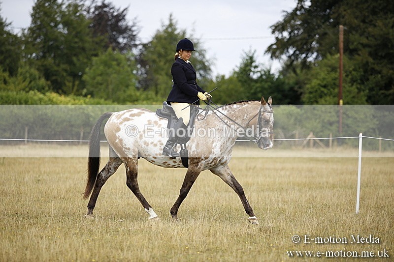 _C7A9457 - BVRC Show 2018 Ring 1