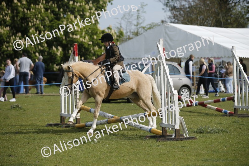 20260426-1210 - Class 2 - Mini Jumping