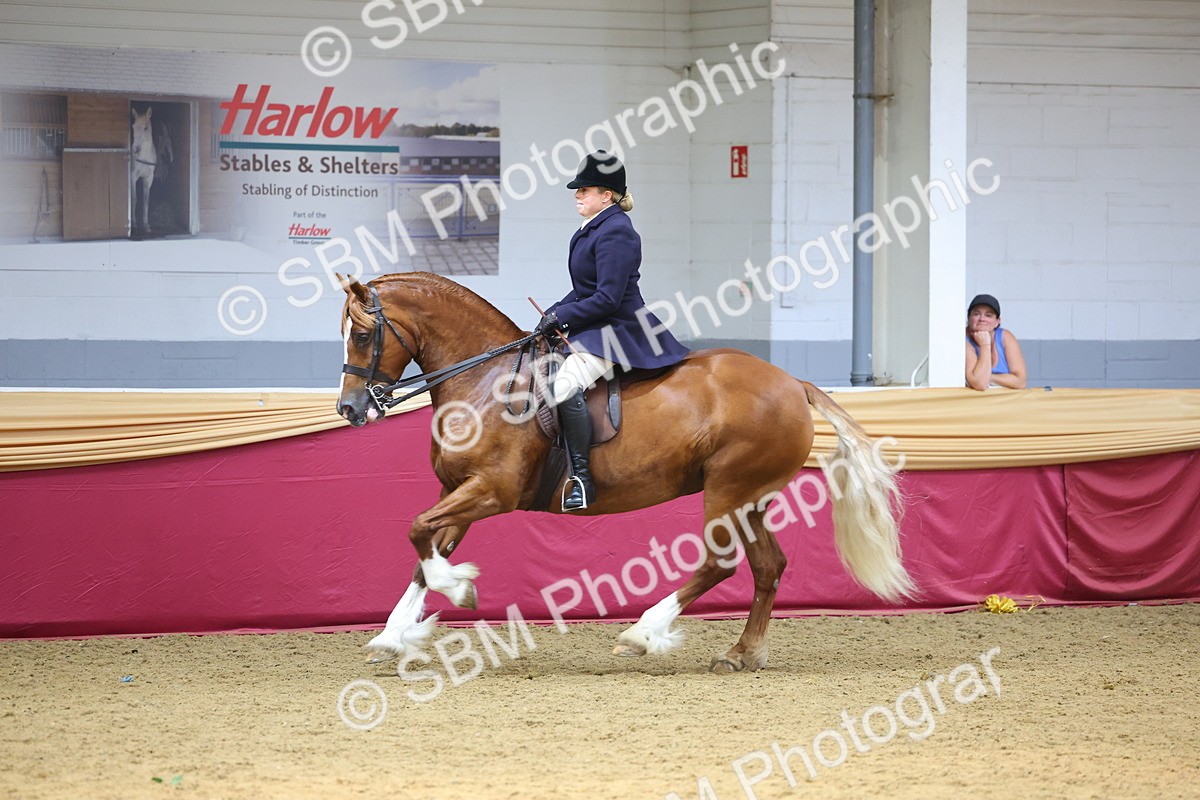 SBM_24660 - Class 906 - Supreme Final - Ridden Pre Vet