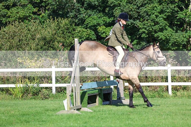 3E7A7740 - Class 2: Open Working Hunter pony