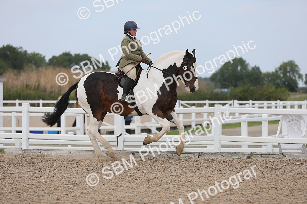SBM_16875 - Class 314 Family Horse/Pony