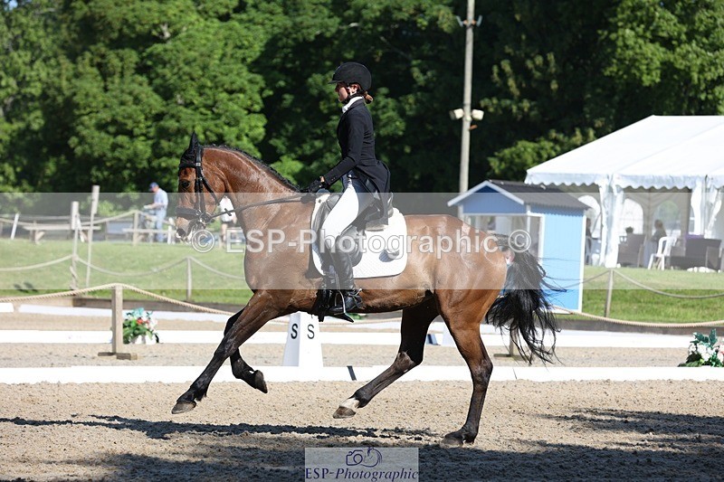 230526-091112-05009 - 352-TEQUILA_SUNRISE-Pippa_Taylor-WEDTrotUp+DR