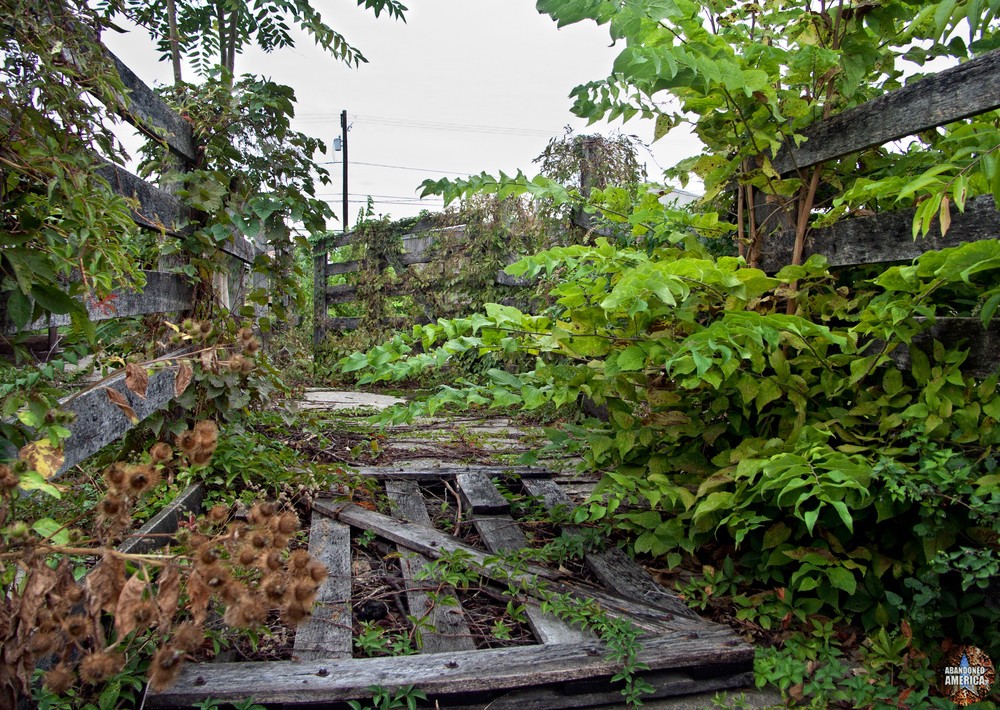 The Lancaster Stockyards | Overgrown Pens - Lancaster Stockyard