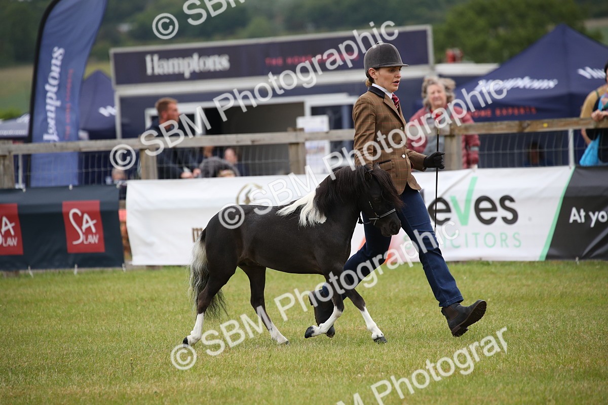 SBM_03696 - Class 23-25 - British Miniature Horse of the Year