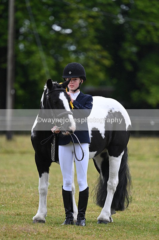 WJ7_5920 - Class 4 Prettiest Mare in Hand