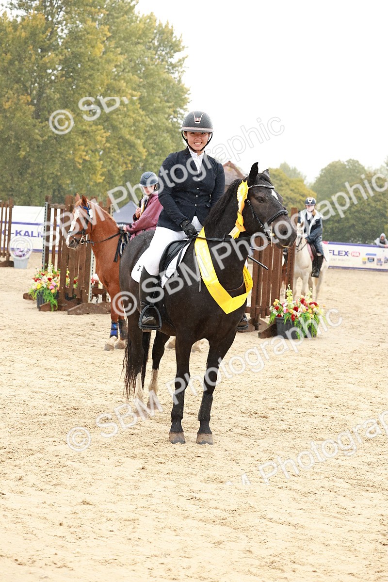 SBM_72321 - J14 - Junior Pony 65cm Championship