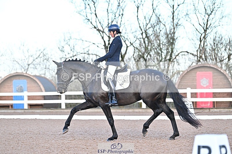 241214-091215-00902 - 151-Elder.Klatzko-Dynasty.Hit