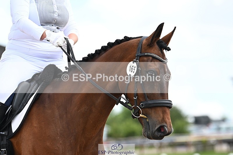 240621A-115718-02447 - Cls 5 BD Novice 37A