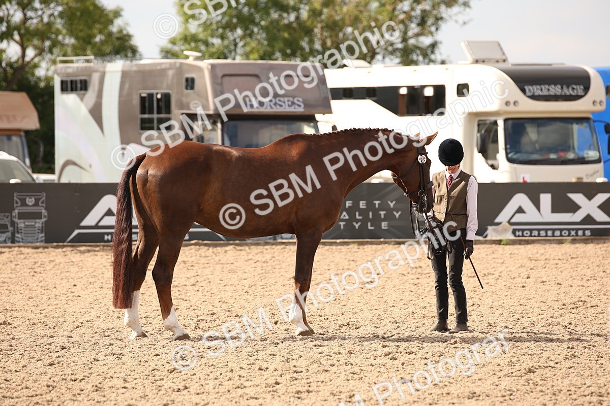 SBM_08184 - Class 27 - IH Competition Horse-Pony