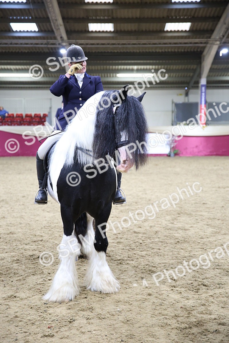 SBM_19267 - Class J Coloured Champ