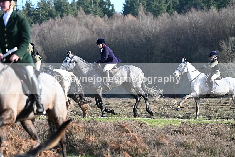 WJ7_7984 - Line 3 (no line 4 or 5)