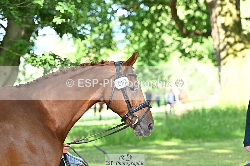 250521A-164801-01338 - C-259-Jasmine.Holmes-MSH.BONANZA