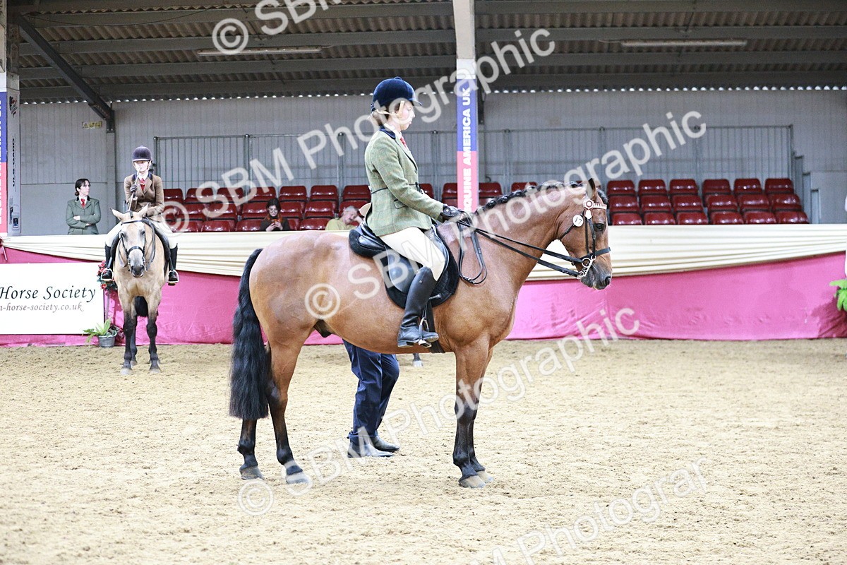 SBM_03541 - Class 6A Area Ridden Pre-Vet