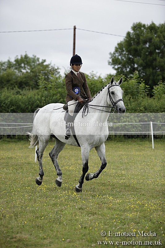 BVR160717-1065 - Ring 1 BVRC Show 16/07/17