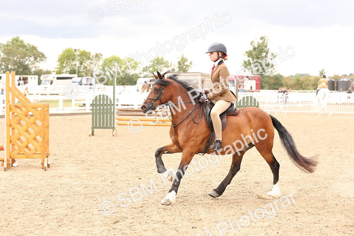 SBM_06249 - Class 57b -  Style & Performance - 60cm (20+)