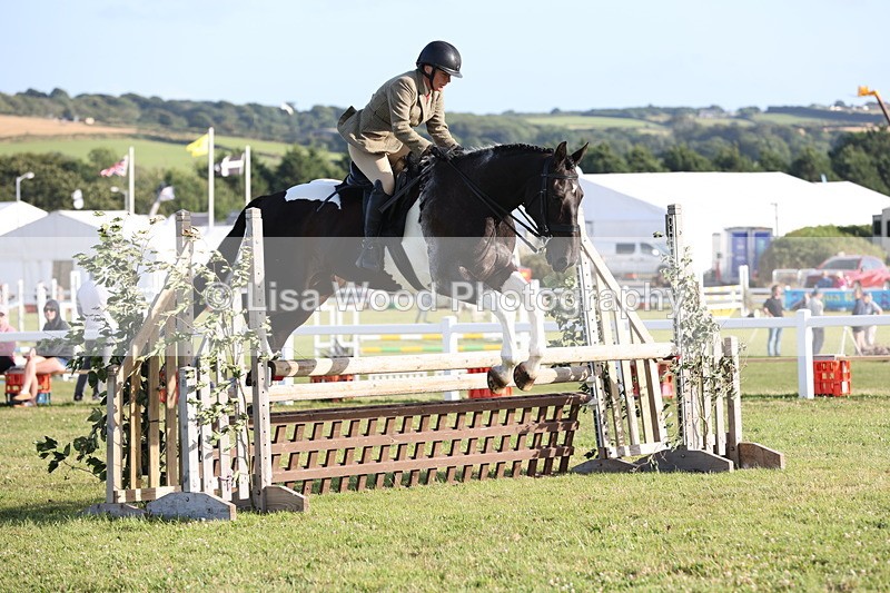 JPP_3445 - Class 22: Working Hunter 90cm