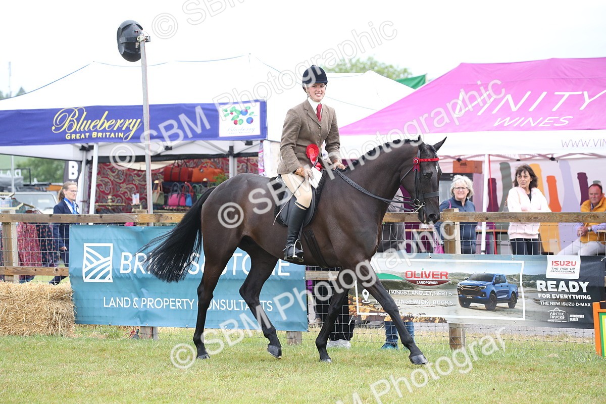 SBM_11474 - Class 94 - LIHS BSHA Racehorse to Showhorse