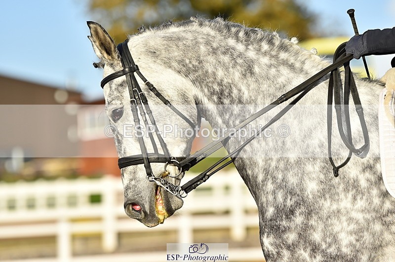 231104A-145250-02203 - Cls 13 Adv Medium 91