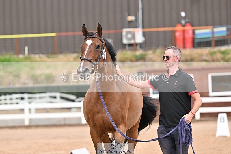 250716-162124-02594 - Trot Up 3.30 to 4.30