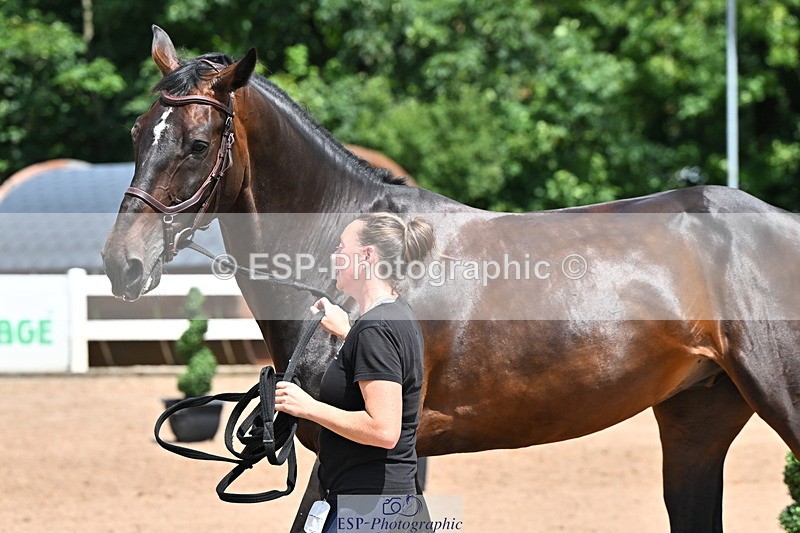 240718A-105300-01439 - Trot Up 12pm to 1pm