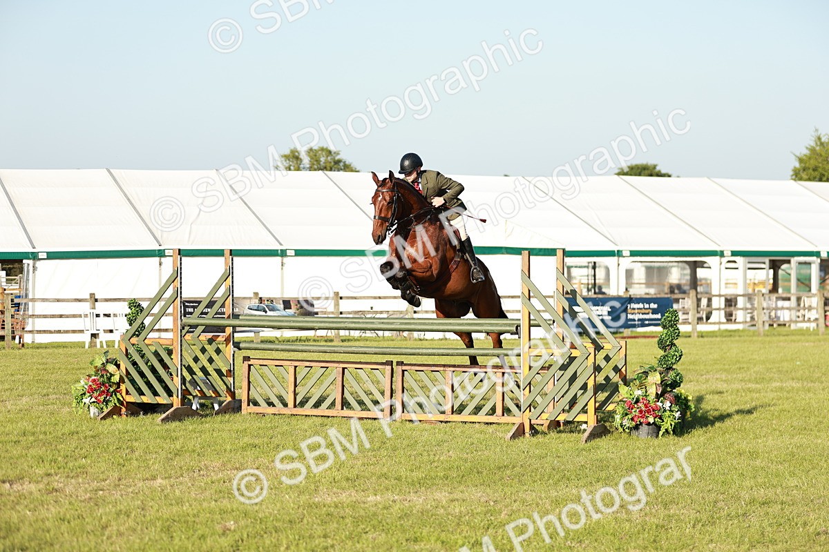SBM_20365 - Class 117-119 - Sport Horse Working Hunter