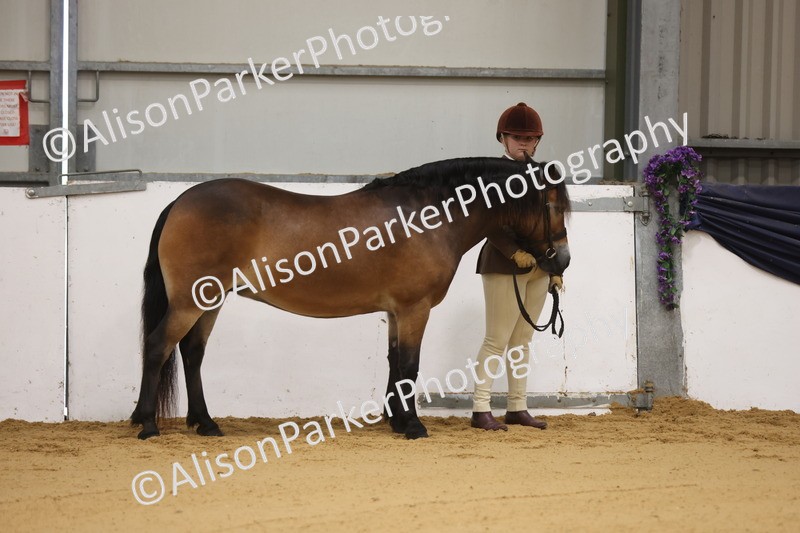 20260913-0038 - Class 121 - Young Handler 5-16