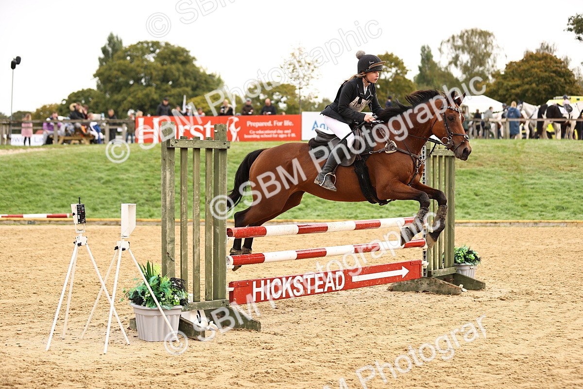 SBM_58386 - J41 - Grand Tour Horse & Pony 95cm