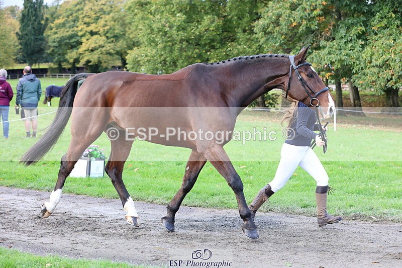 251026A-102551-22980 - E-385-Delilah.Wood