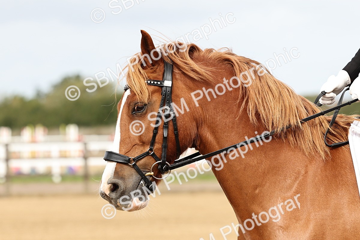 SBM_000361 - Class 45 - Prelim 1 Combined Training