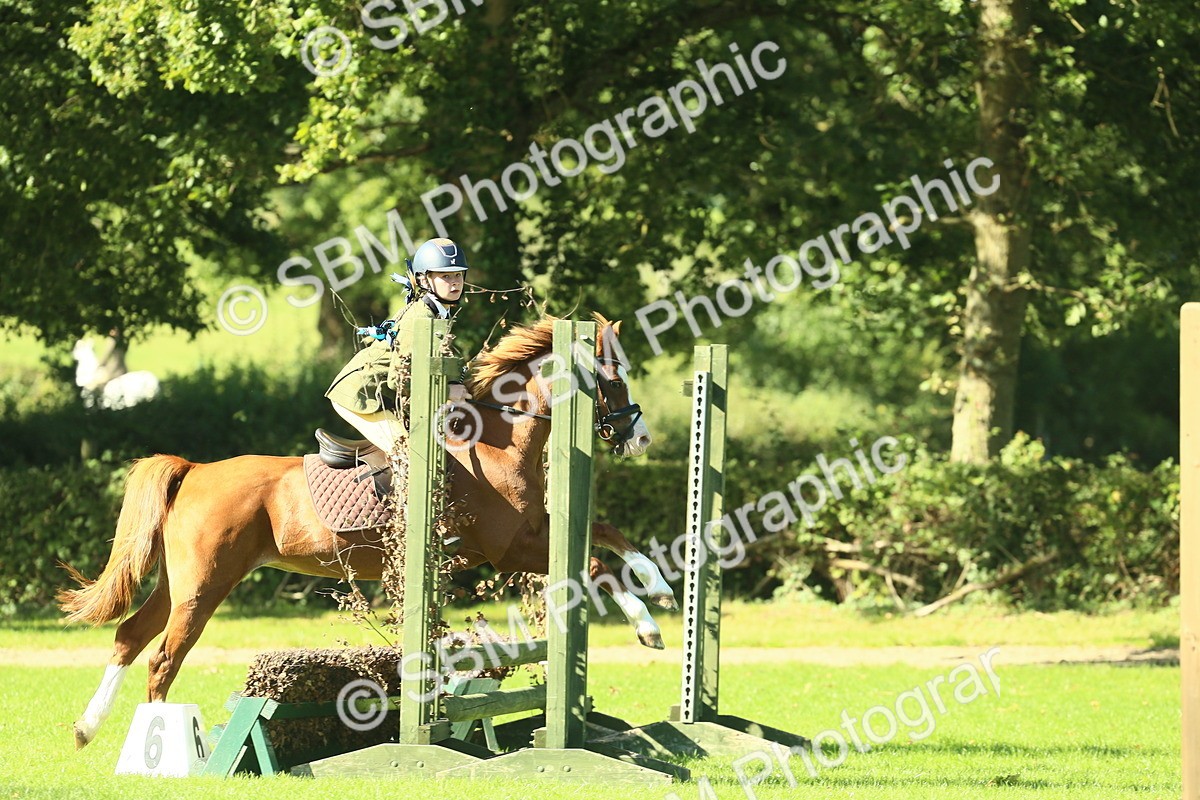 SBM_37446 - S29 - Novice & Newcomers Working Hunter Pony