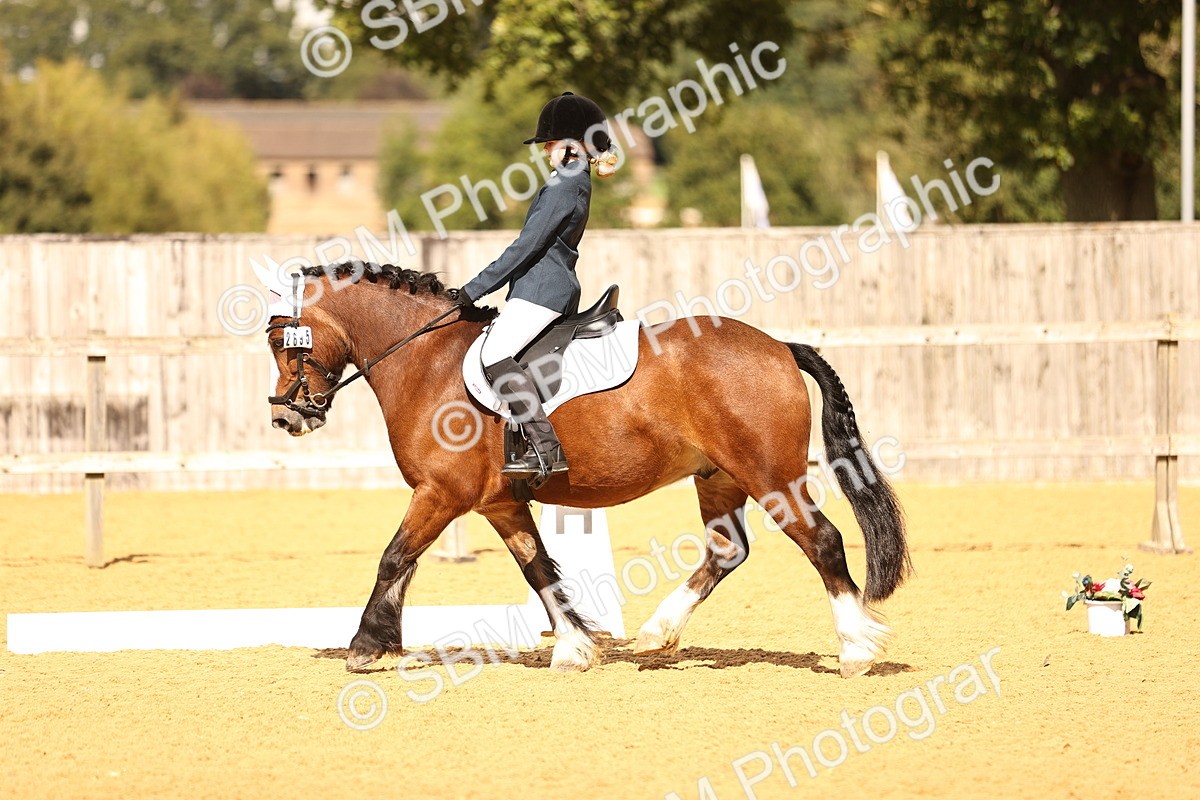 SBM_08619 - D30 Small Tour PYO Open