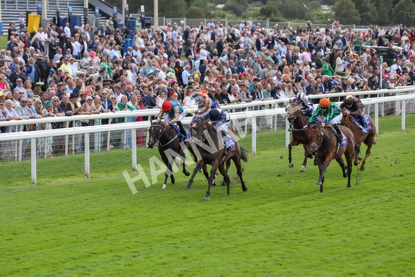 220824-Race 1-Celandine-7595 - Race 1 1.50pm Sky Bet Lowther Stakes