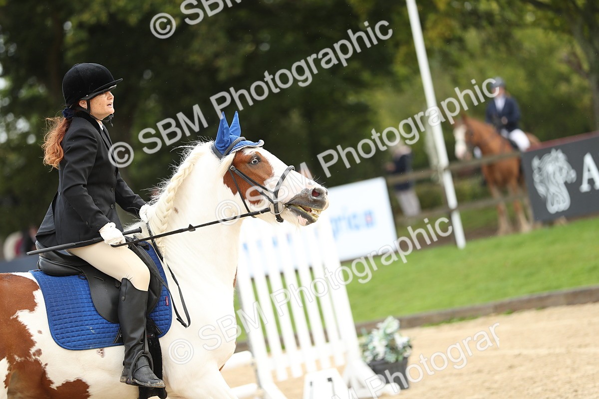 SBM_02026 - J34 - Veteran Rider 50cm