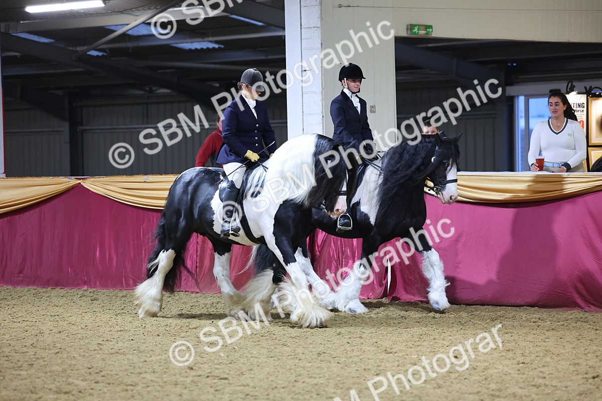 0B8A4346 - Class M Ridden Pairs Champ