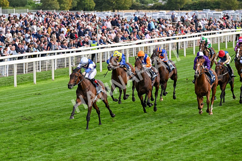 210826-Race 6-Benjamin Hornigold-0360 - Race 6 16.45pm British Stallion Studs EBF Convivial Maiden Stakes