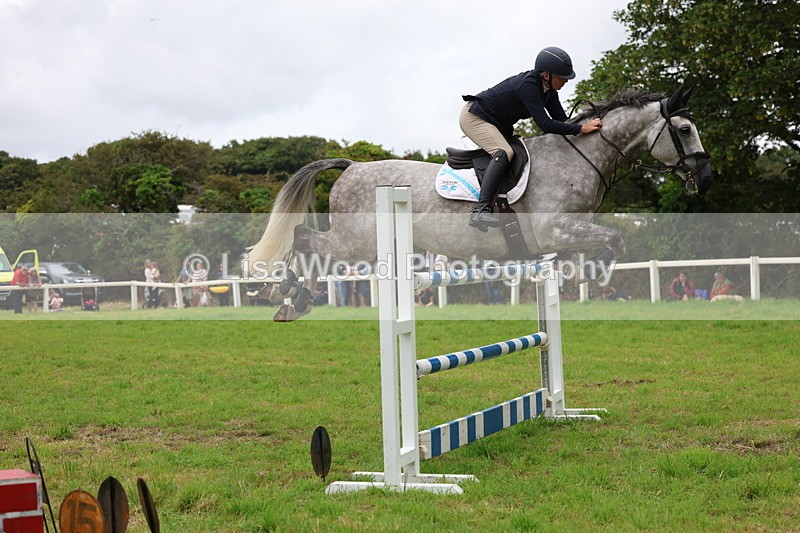 3E7A8552 - Class 8: Senior Foxhunter/1.20m open