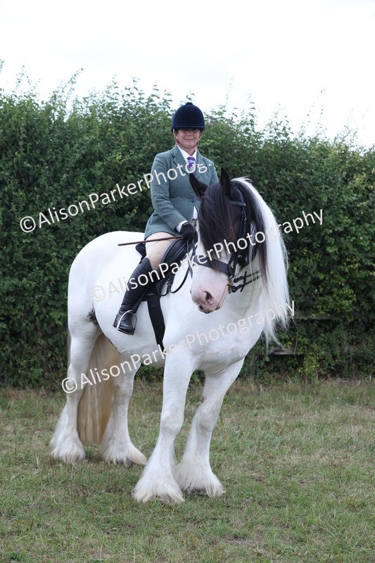 20250831-4300 - Class 20 - Ridden Coloured