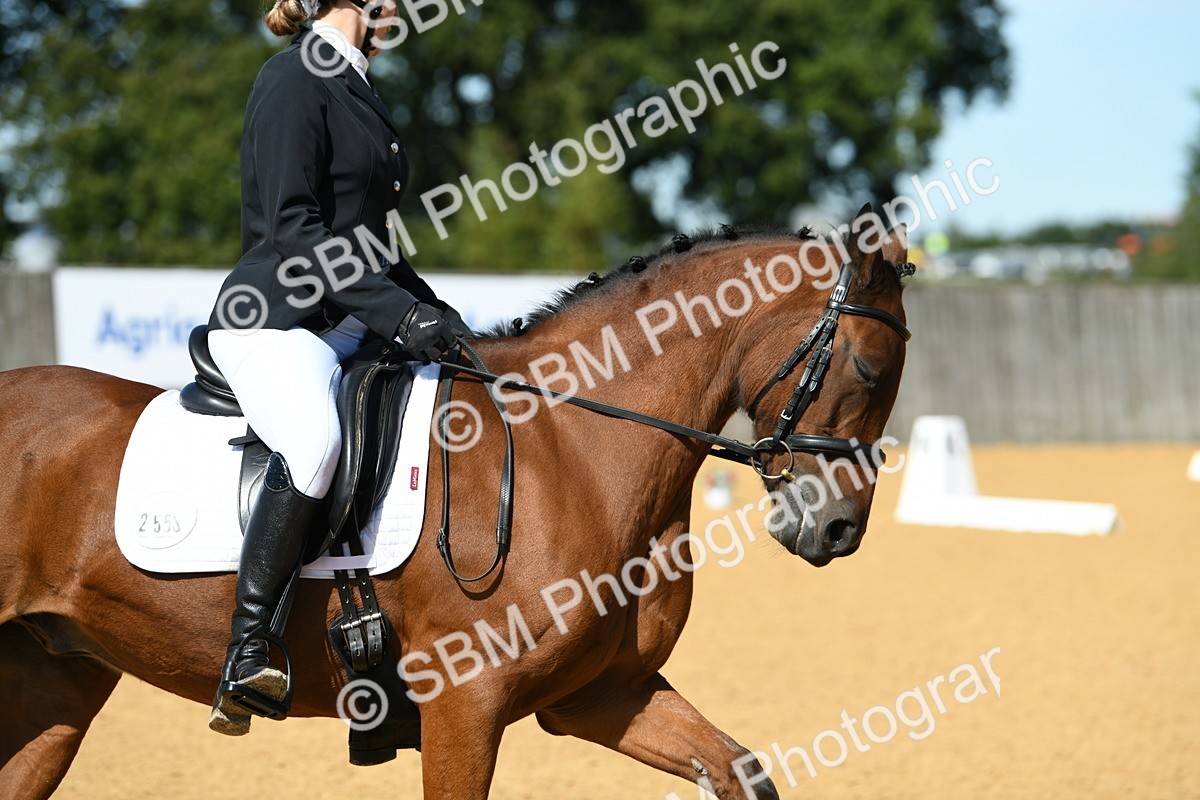 SBM_20755 - D13 - Grand Tour Championship - Prelim 12