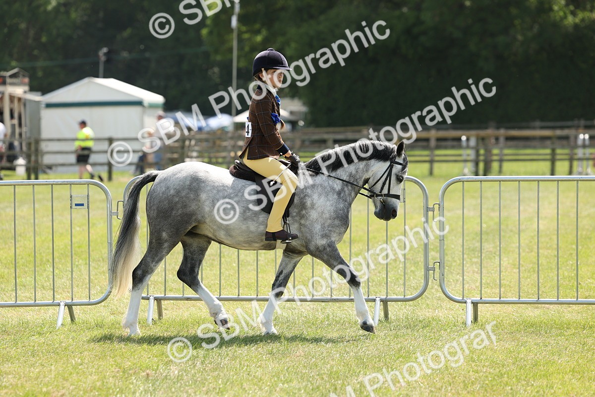 SBM_05324 - Class 24-25 - Mountain & Moorland In Hand Lead Rein and First Ridden