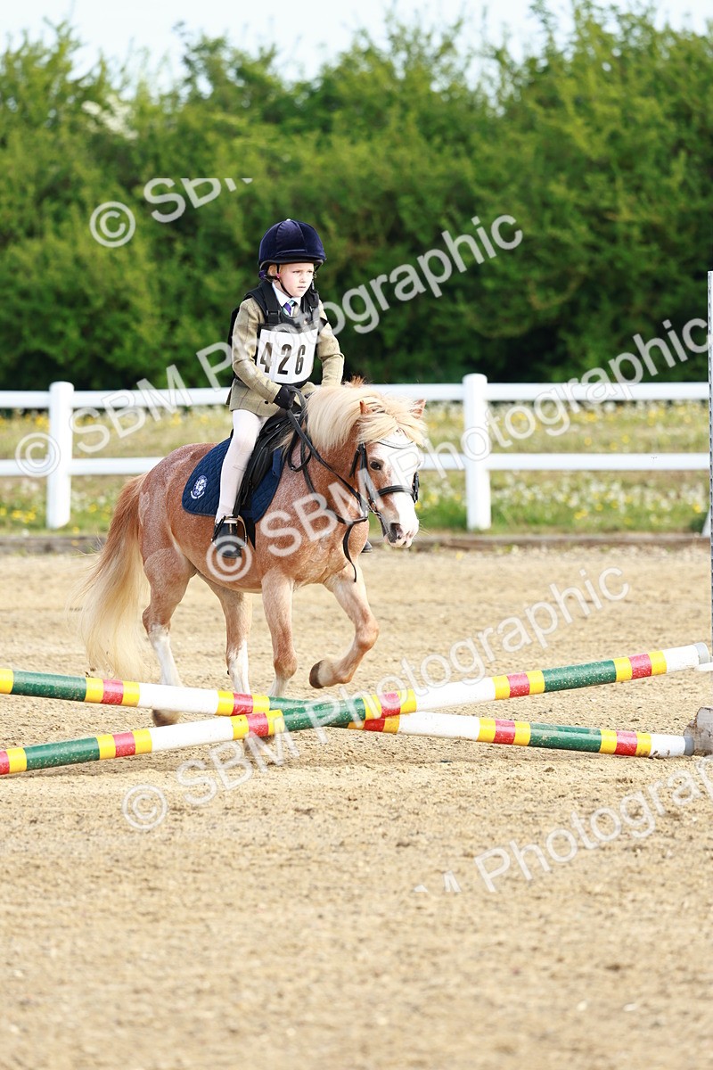 SBM_006361 - Class 1 - 40cm