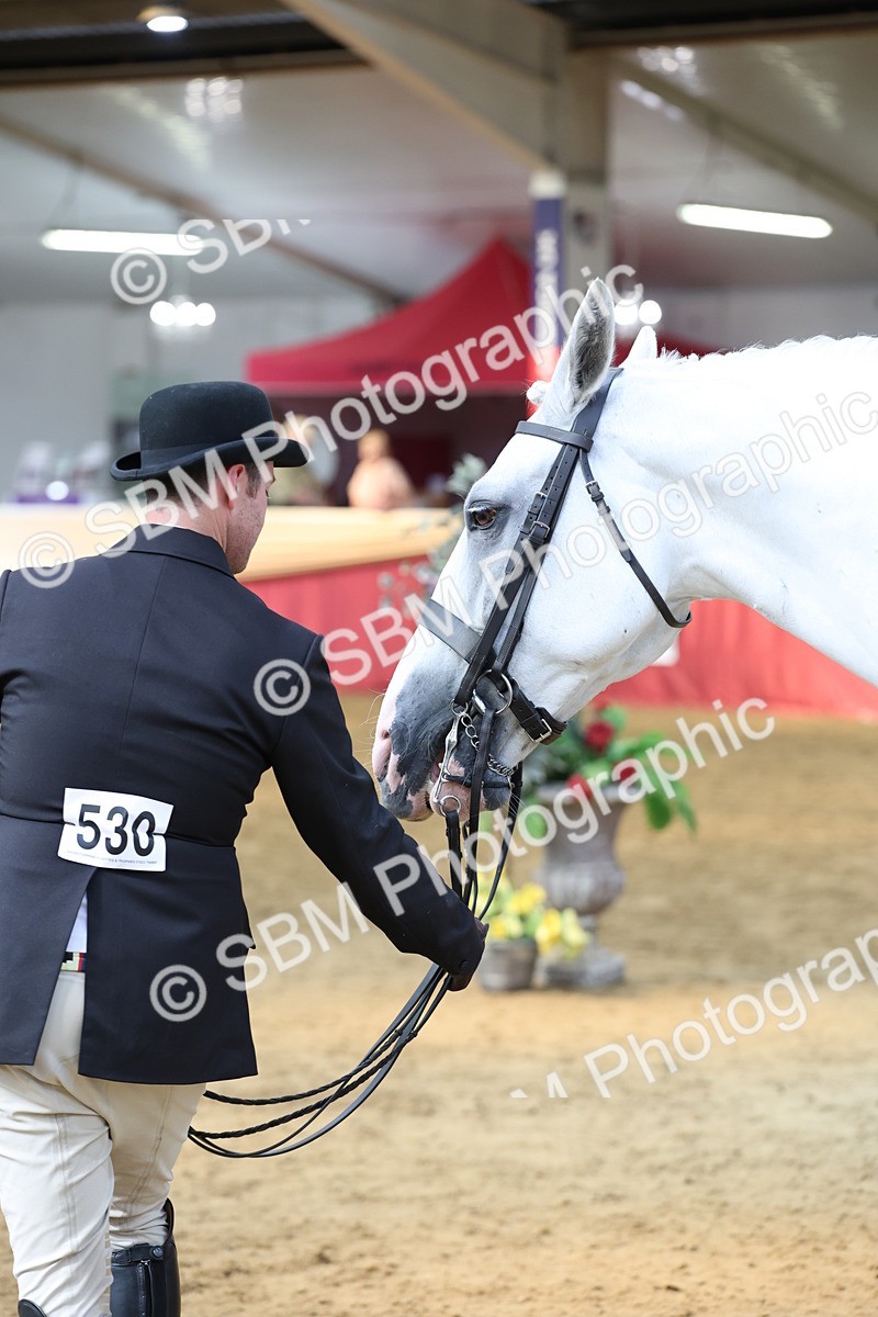 SBM_23383 - Class 903 - Supreme Final - IH Pre Vet