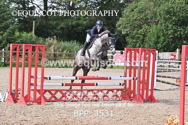 BPP_3531 - CLASS 36 SUN Senior British Novice/ 90cm Open