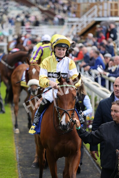yr11052022r2-9 - Race 2 2.25pm Churchill Tyres Stakes