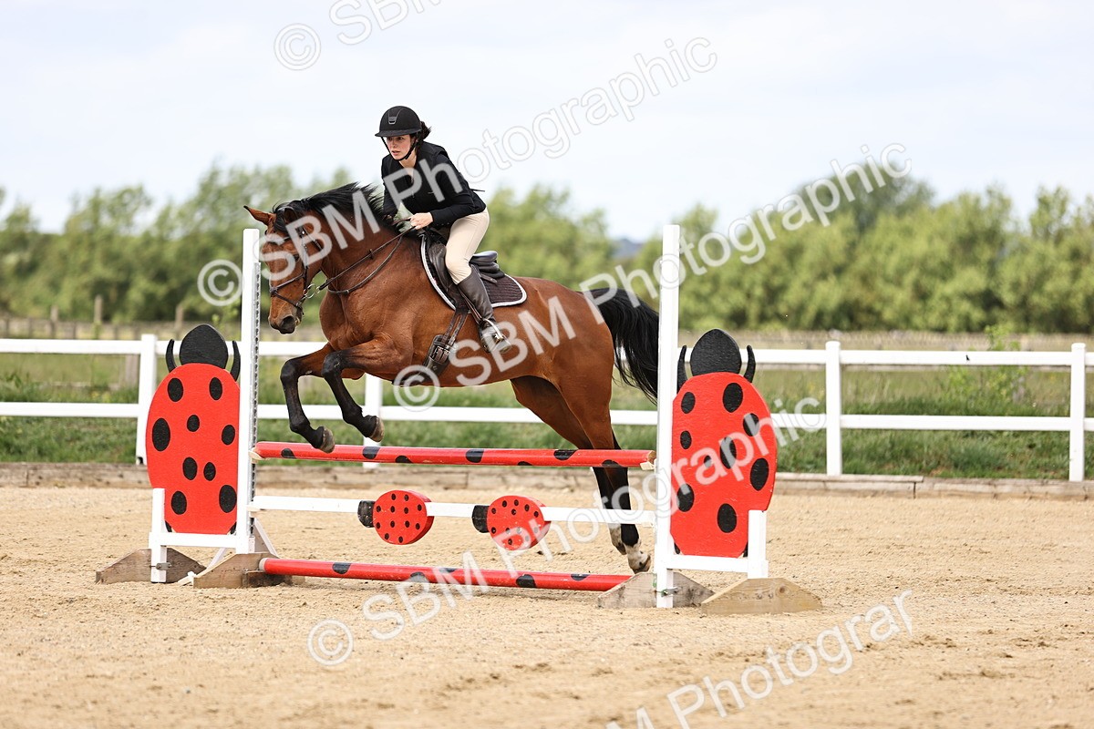 SBM_007204 - Class 2 - 80cm showjumping