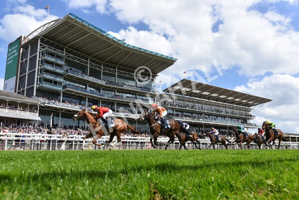 yr10062022r3-51 - Race 3 3.00pm British EBF supporting Racing with Pride Fillies' Handicap