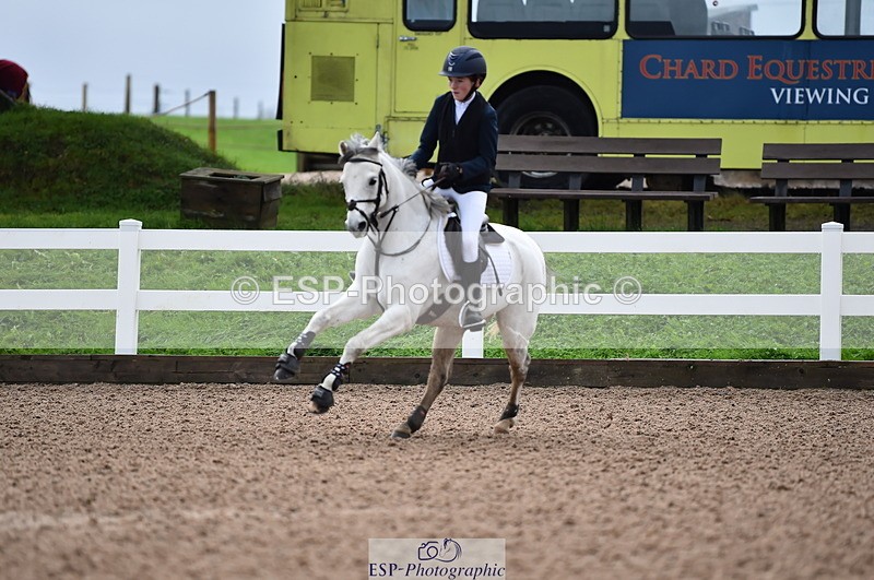 231029A-103534-02339 - 70cm Pony Intro