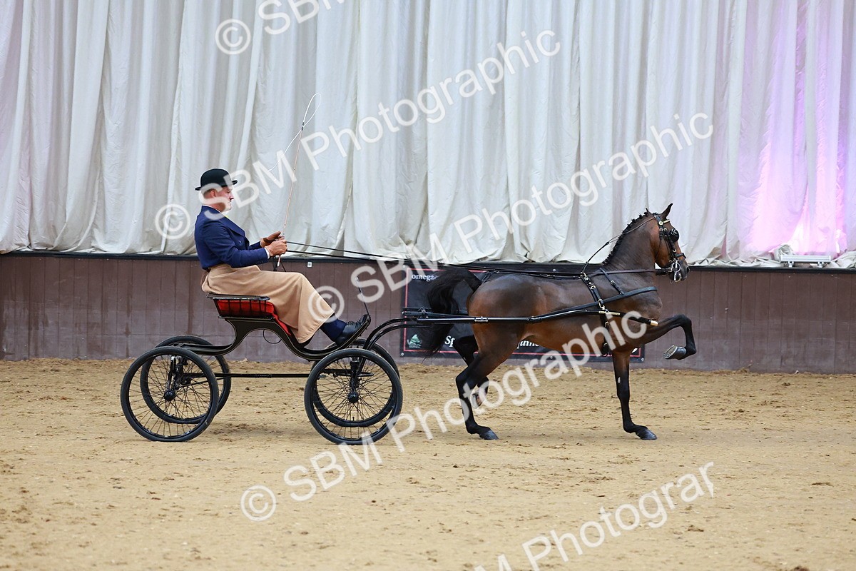 SBM_000673 - Class 9 - HHS Championship Intl Hackney Pony to a Showwagon